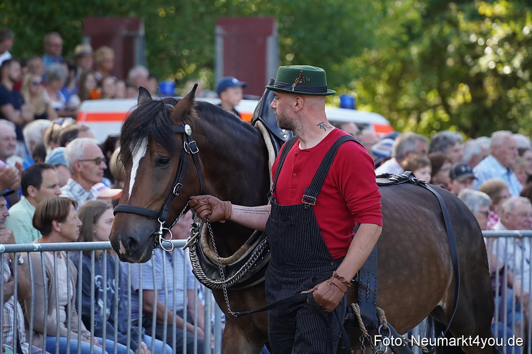 Pferde und Fohlenschau 2022 0162 